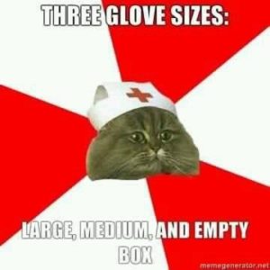 funny cat meme for nurses