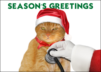 veterinarian cat greeting card l