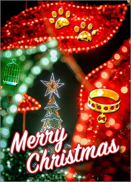 Pets Bright Lights Card
