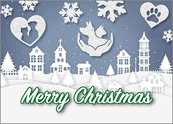 card from category