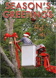Tree Service Christmas Card