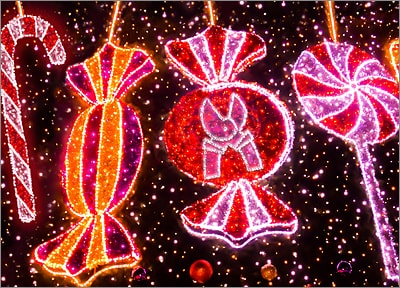 Tree Service Christmas Lights