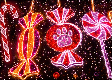 Veterinarian Christmas Lights