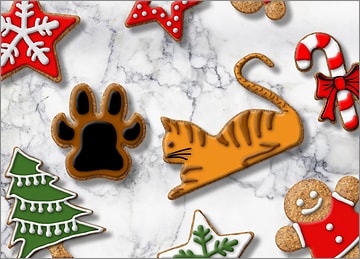 Veterinary Cookies