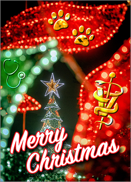 Veterinary Lights Card